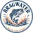 Bragwater badge logo: a bass jumping out of a splash